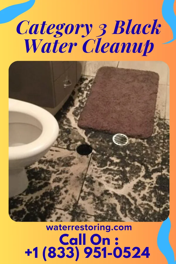 Category 3 Black Water Cleanup in Upper Greenwood Lake, NJ