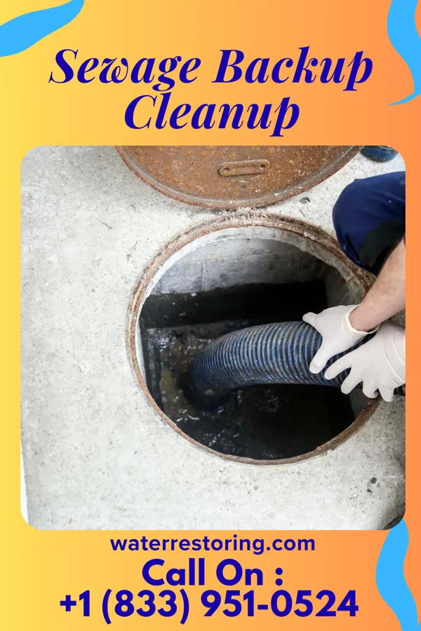Sewage Backup Cleanup in Upper Greenwood Lake, NJ